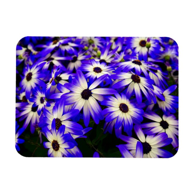 Magnet Flexible Fleurs numériques Bleues et Blancs (Horizontal)