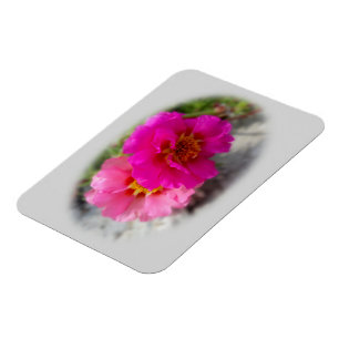 Magnet Flexible Fleurs roses au soleil
