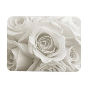 Magnet Flexible Fleurs Roses blanches