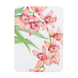 Magnet Flexible Fleurs roses d'aquarelle