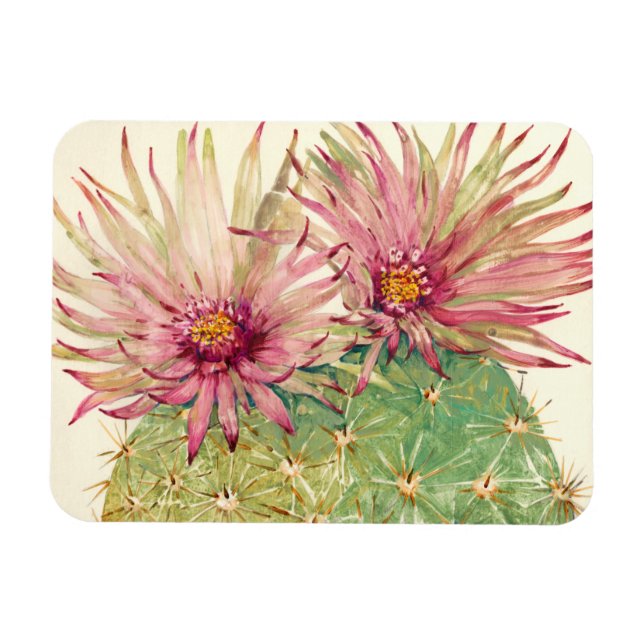 Magnet Flexible Fleurs roses de cactus (Horizontal)