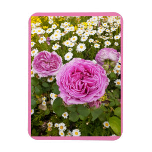 Magnet Flexible Fleurs roses Fleurs Florales Rose Roses marguerite