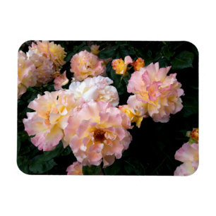 Magnet Flexible Fleurs roses, Roses Jaunes Rose