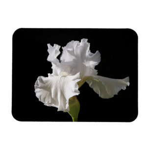 Magnet Flexible Fleurs White Iris