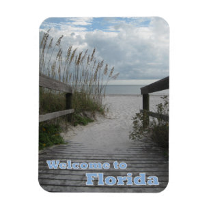 Magnet Flexible Floride Beach Path
