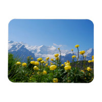 Flowers (homonymie) | Eiger Monch Swiss Alps