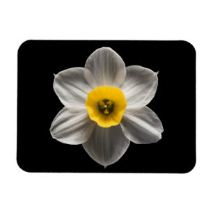 Magnet Flexible Flowers (homonymie) Flower blanc