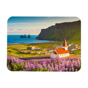 Magnet Flexible Flowers (homonymie)   Lupines in Bloom Southern Ic