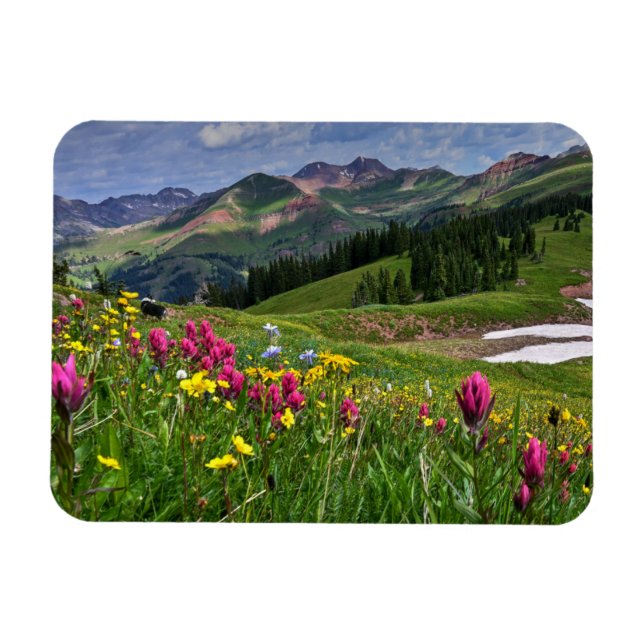 Magnet Flexible Flowers (homonymie) | Wildflowers Durango (Horizontal)