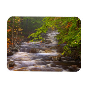 Magnet Flexible Flowing Streams Along the Appalachian Trail