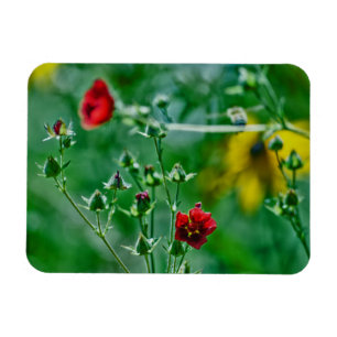 Magnet Flexible Fly-By dans le jardin