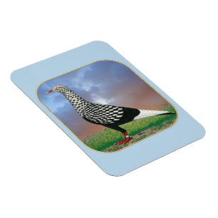 Magnet Flexible Flying Flight and Clouds