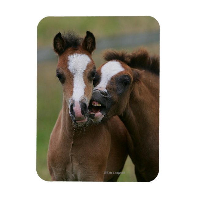 Magnet Flexible Foies jouant (Vertical)