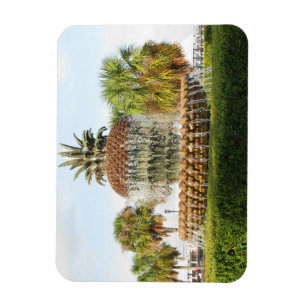 Magnet Flexible Fontaine d'ananas de Sc de Charleston, parc de