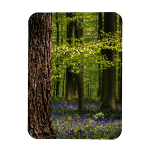 Magnet Flexible Forest Bluebells en Belgique