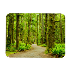 Magnet Flexible Forest   Parc national olympic