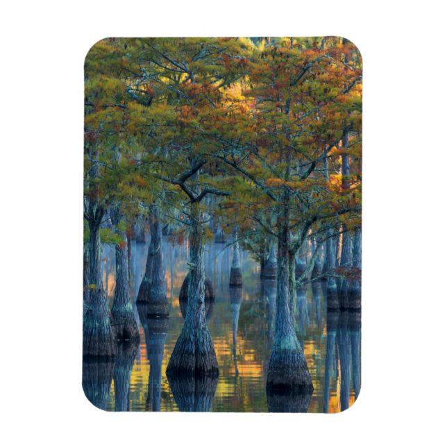 Magnet Flexible Forêt de cyprès de bassin (Vertical)
