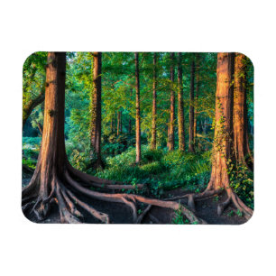 Magnet Flexible Forêt en été
