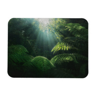 Magnet Flexible Forêt Fermes dans la forêt tropicale