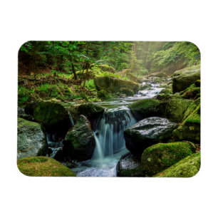 Magnet Flexible Forêt verte et rivière