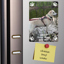 Magnet Flexible Forever Missing Pet Memorial Photo moderne personn