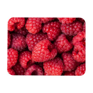 Magnet Flexible Framboises rouges fraîches