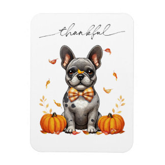 Magnet Flexible French Bulldog Thankful Fall quitte les Citrouille