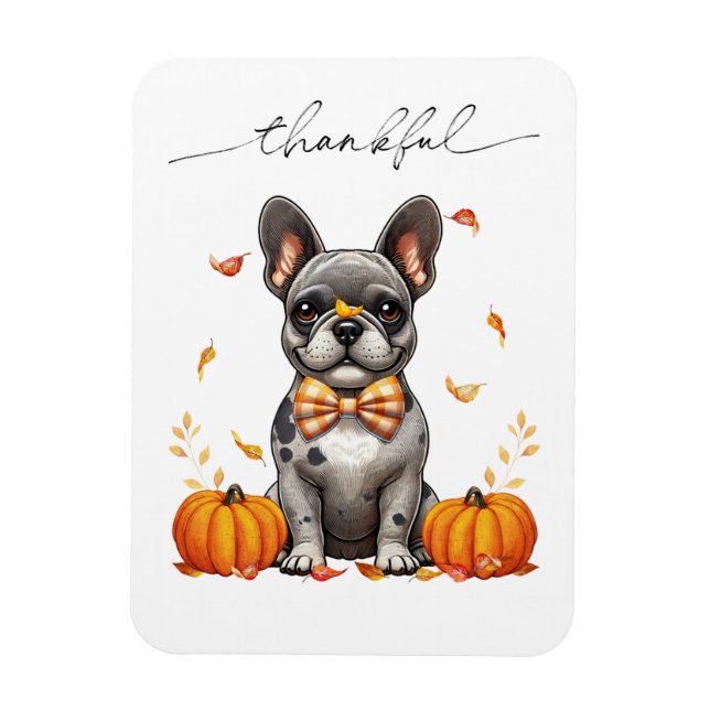 Magnet Flexible French Bulldog Thankful Fall quitte les Citrouille (Vertical)
