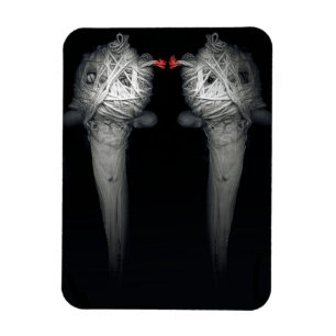 Magnet Flexible Frères 2013