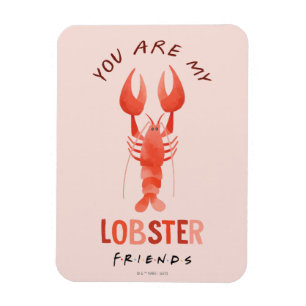 Magnet Flexible FRIENDS™ Vous êtes mon homard graphique aquarell