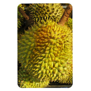 Magnet Flexible Fruit durian