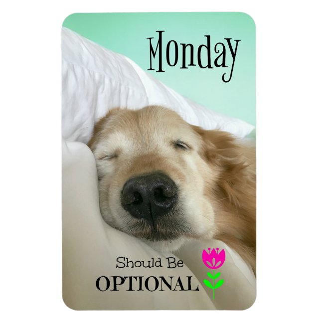 Magnet Flexible Funny Golden Retriever Monday devrait être faculta (Vertical)