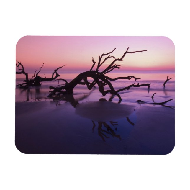 Magnet Flexible GA Jekyll Island, Cimetière d'arbres sur la plage  (Horizontal)