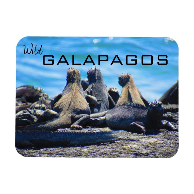 Magnet Flexible galapagos sauvages iguanes (Horizontal)