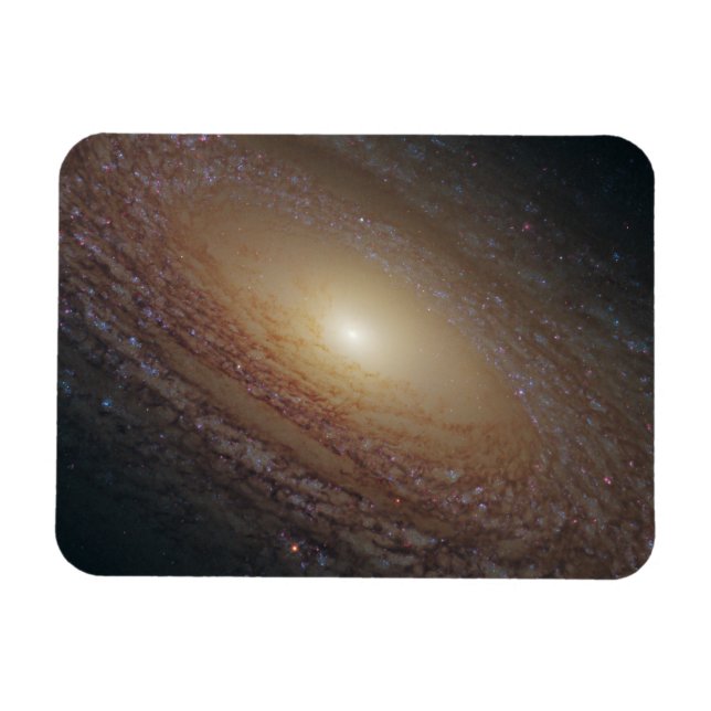 Magnet Flexible Galaxie Spirale Ngc 2841 (Horizontal)