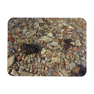 Magnet Flexible Galets dans Taylor Creek Nature Photography