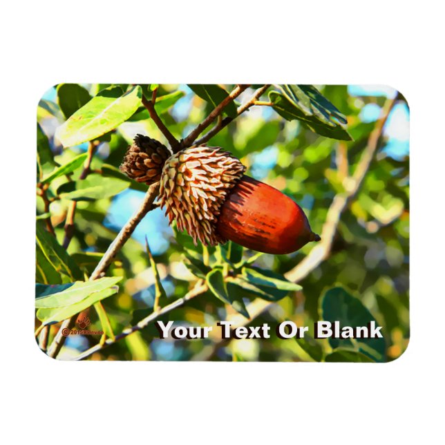 Magnet Flexible Galilee Acorn (Horizontal)