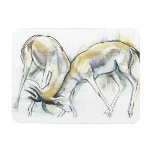 Magnet Flexible Gazelles de sable 2009 5