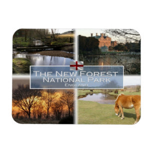 Magnet Flexible GB Royaume-Uni - Angleterre - New Forest N.P. -