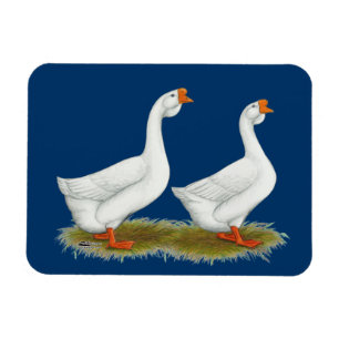 Magnet Flexible Geese de l'Afrique blanche