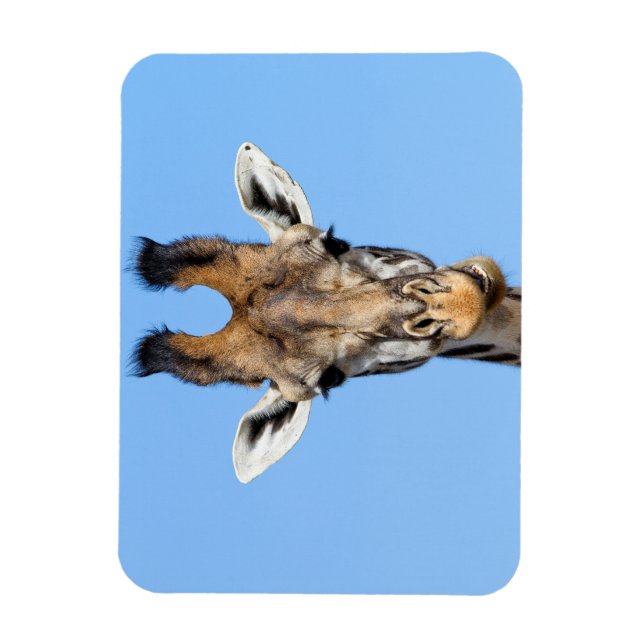 Magnet Flexible Giraffe (Vertical)
