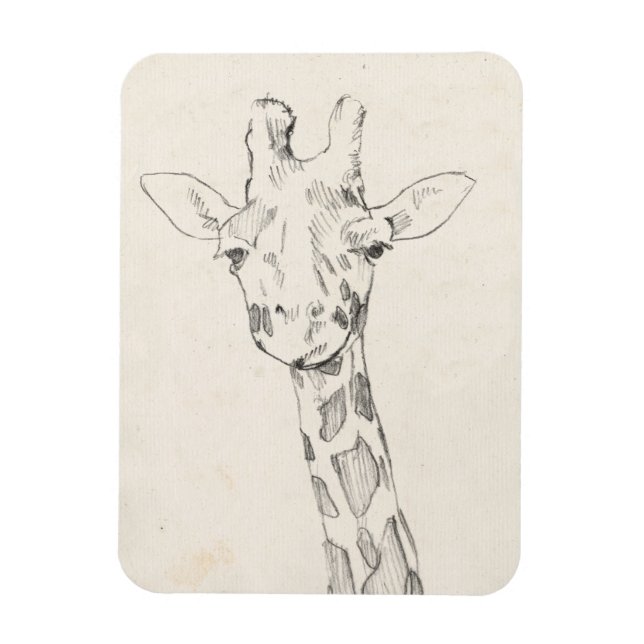 Magnet Flexible Giraffe Portrait | Croquis (Vertical)