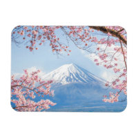 Glace et neige | Cherry Blossoms Mt. Fuji Japon