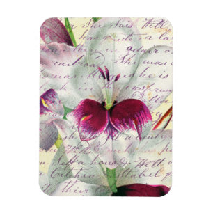 Magnet Flexible gladiolus art calligraphie collage