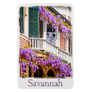 Magnet Flexible Glycines sur une maison du sud vintage dans la
