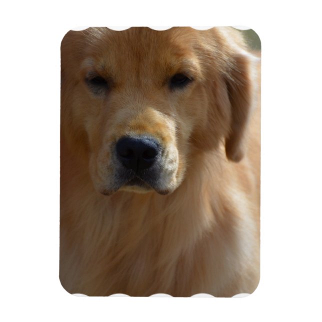 Magnet Flexible Golden Pup (Vertical)