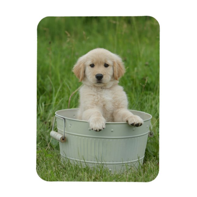 Magnet Flexible Golden Retriever (Vertical)