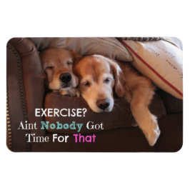 Magnet Flexible Golden Retriever Exercice Démotivationnel