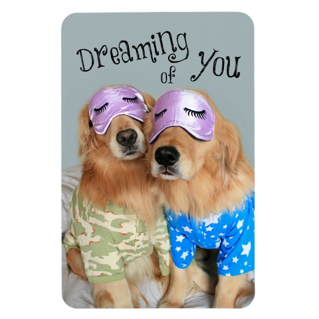 Magnet Flexible Golden Retriever vous rêve (Vertical)