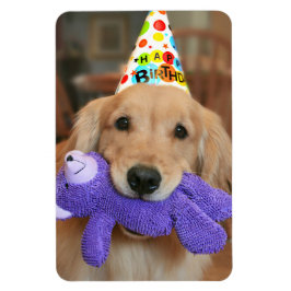 Magnet Flexible Golden Retriever with Happy Birthday Casquette and
